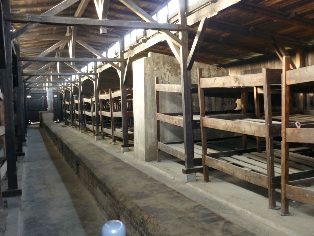 Birkenau camp huts