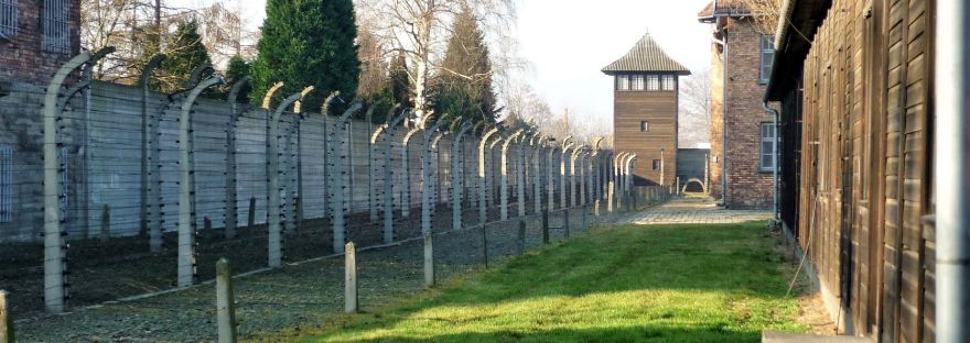 Auschwitz fence